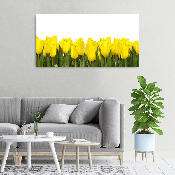 Foto canvas Gele tulpen