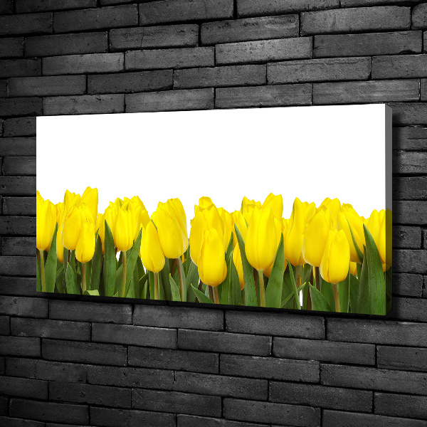 Foto canvas Gele tulpen