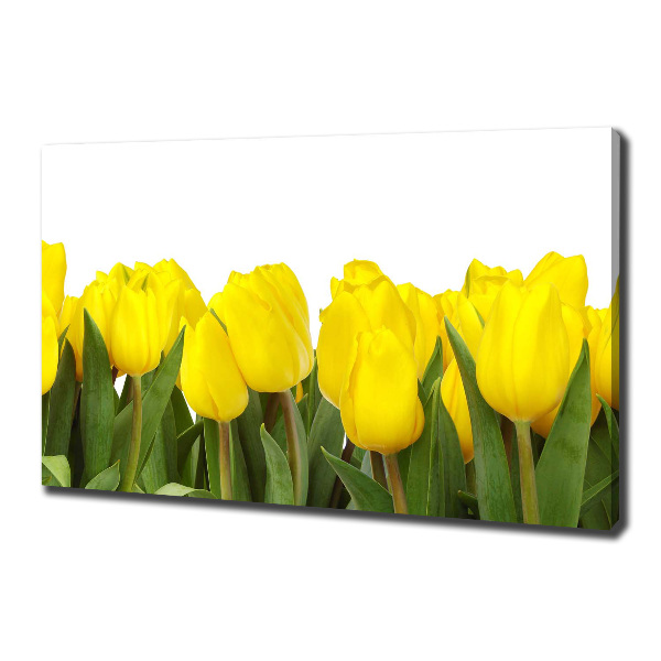 Foto canvas Gele tulpen