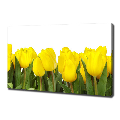 Foto canvas Gele tulpen