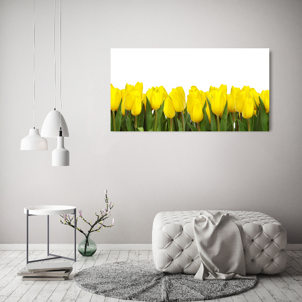 Foto canvas Gele tulpen