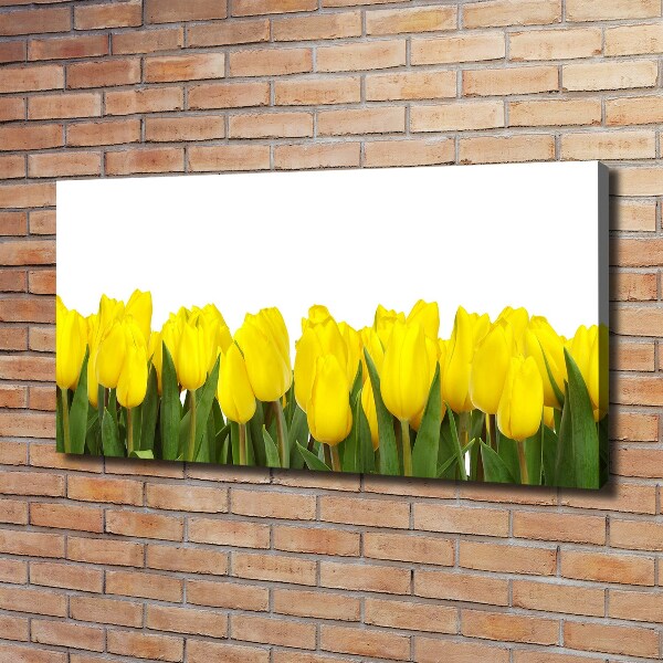 Foto canvas Gele tulpen
