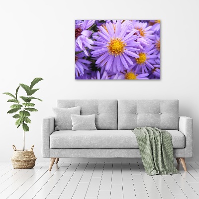Foto op canvas Asters