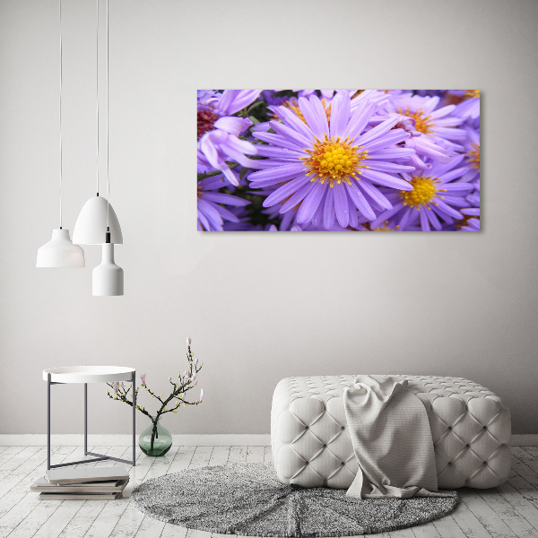 Foto op canvas Asters