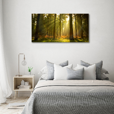 Foto canvas Bos in de zon