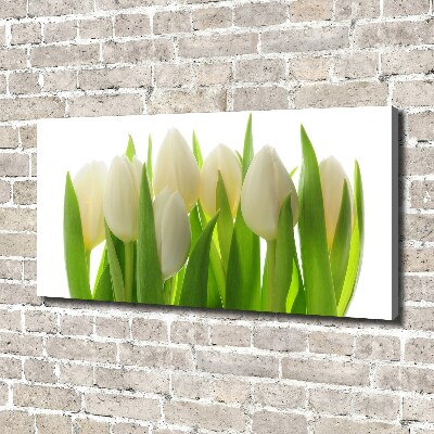 Canvas foto Tulpen