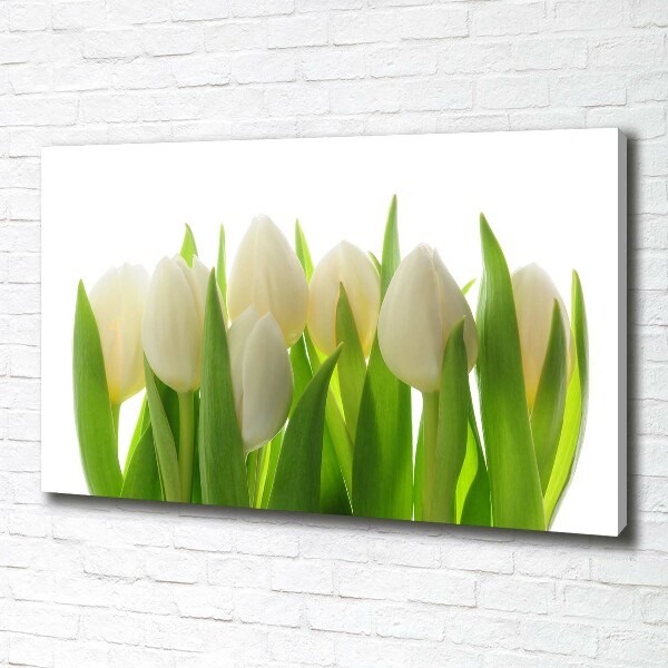 Canvas foto Tulpen