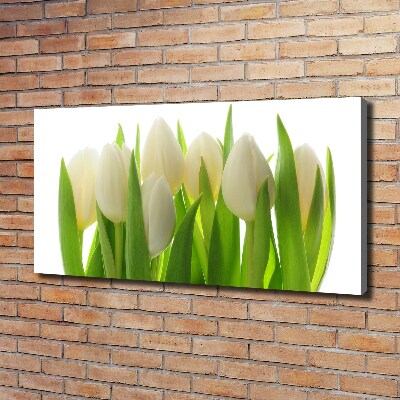 Canvas foto Tulpen