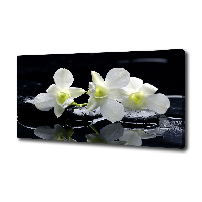 Schilderij op canvas Orchidee