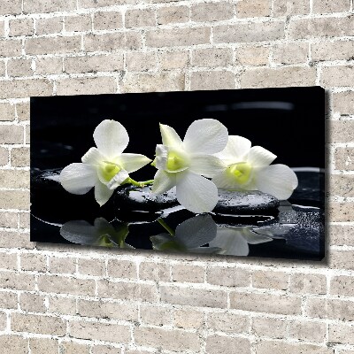 Schilderij op canvas Orchidee