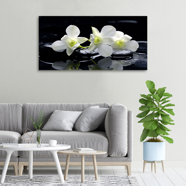 Schilderij op canvas Orchidee