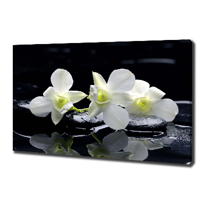 Schilderij op canvas Orchidee