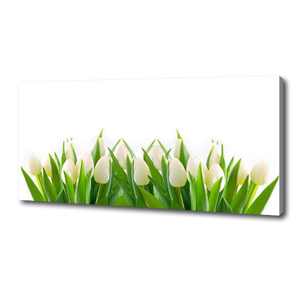 Foto canvas Witte tulpen