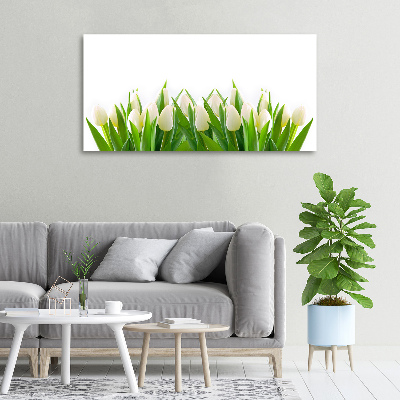 Foto canvas Witte tulpen