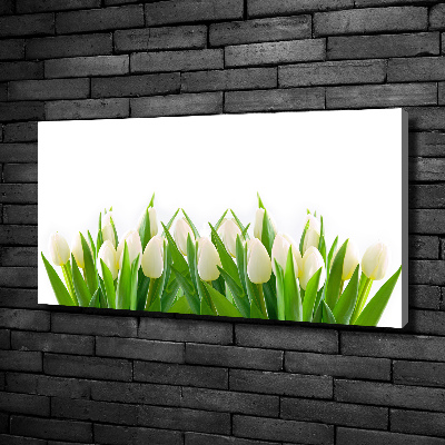 Foto canvas Witte tulpen