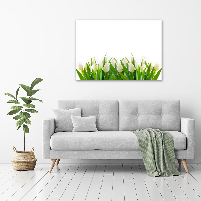 Foto canvas Witte tulpen