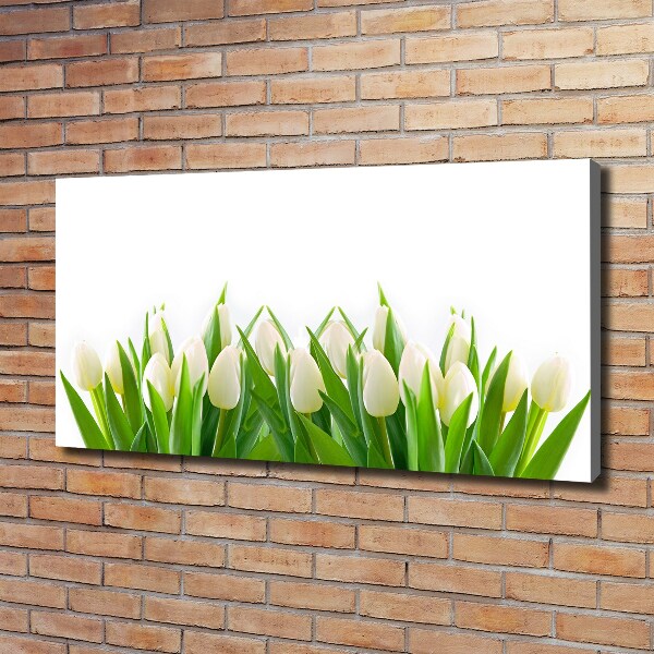 Foto canvas Witte tulpen