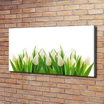 Foto canvas Witte tulpen