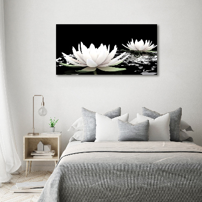 Foto op canvas Waterlelies