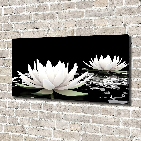 Foto op canvas Waterlelies