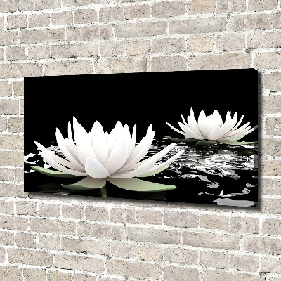 Foto op canvas Waterlelies
