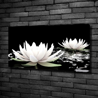 Foto op canvas Waterlelies