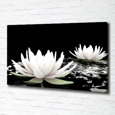 Foto op canvas Waterlelies