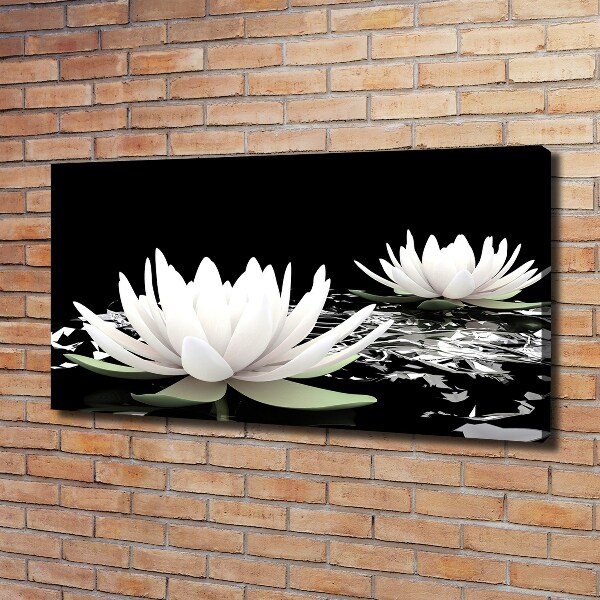 Foto op canvas Waterlelies
