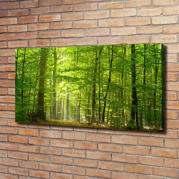 Canvas foto Loofbos