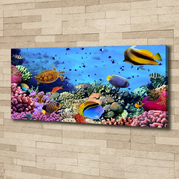 Foto canvas Koraalrif