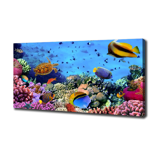 Foto canvas Koraalrif