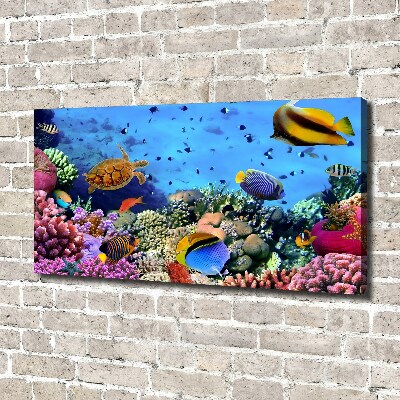 Foto canvas Koraalrif