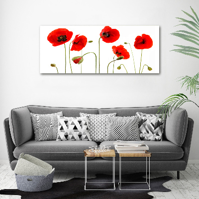 Foto canvas Klaprozen