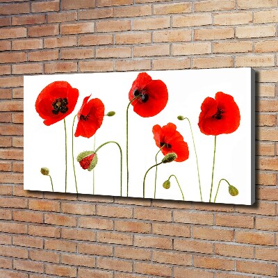 Foto canvas Klaprozen