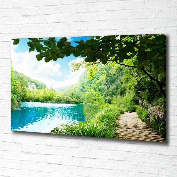 Foto canvas Waterval in het bos