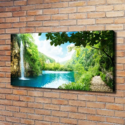Foto canvas Waterval in het bos
