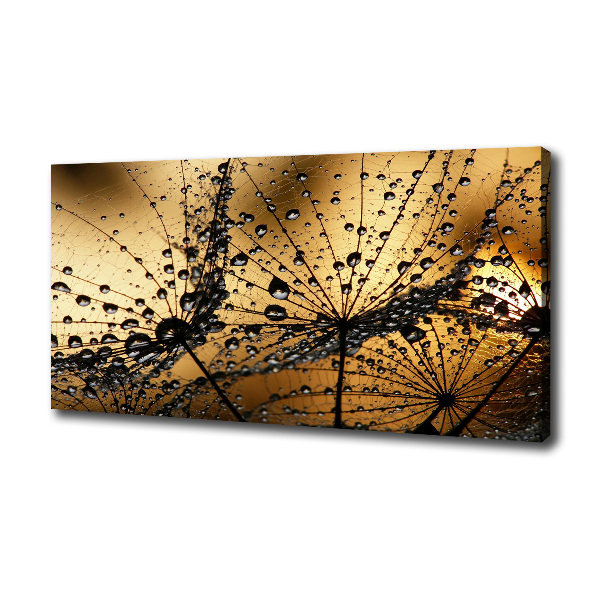 Schilderij op canvas Paardenbloemzaden