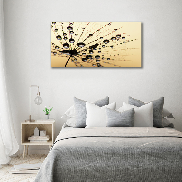 Foto canvas Paardenbloemzaad