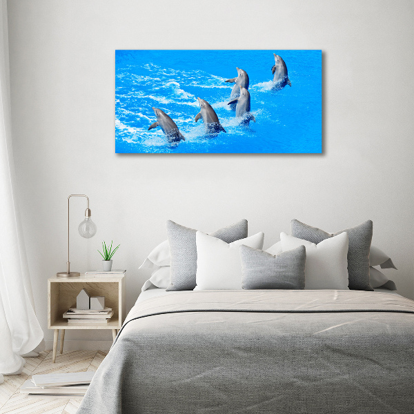 Foto canvas Dolfijnen