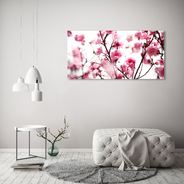 Duży Foto obraz na płótnie Kwiat śliwki