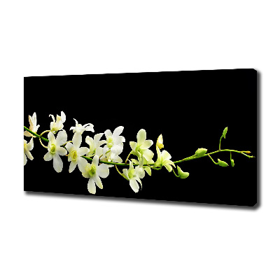 Canvas foto Orchidee