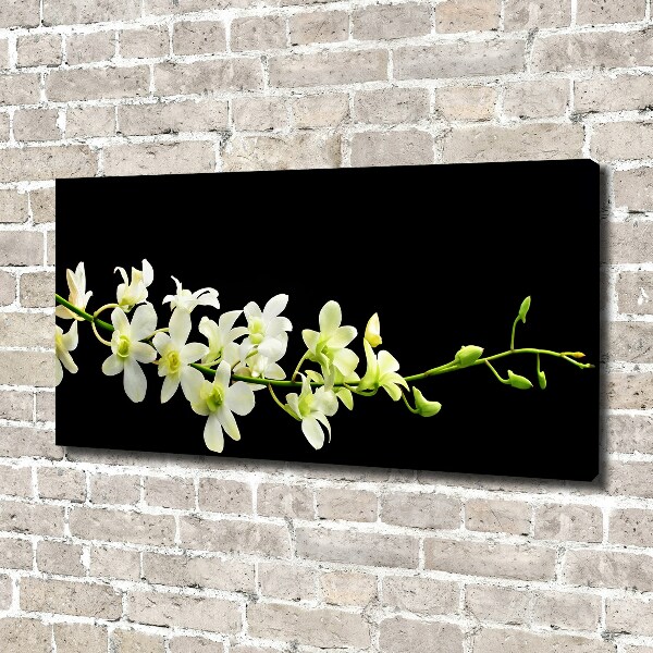 Canvas foto Orchidee