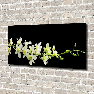 Canvas foto Orchidee