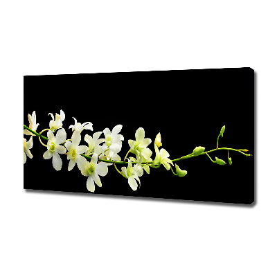 Canvas foto Orchidee