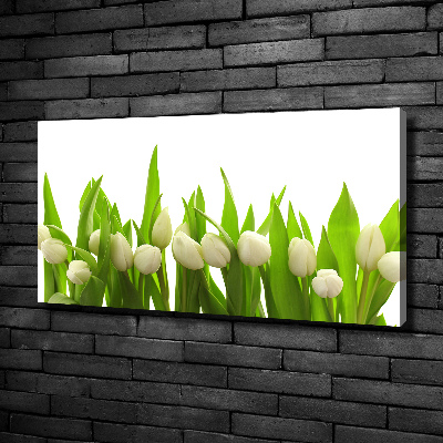 Canvas schilderij Witte tulpen