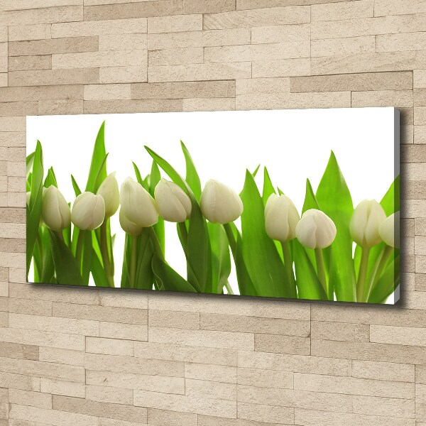 Schilderij op canvas Witte tulpen