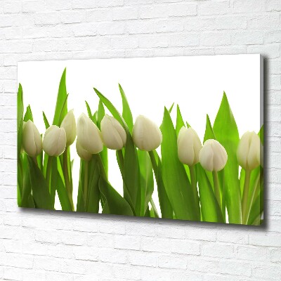 Schilderij op canvas Witte tulpen