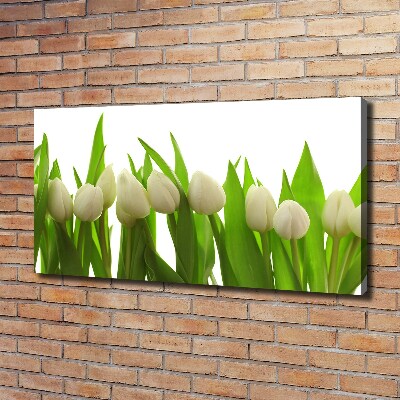 Schilderij op canvas Witte tulpen
