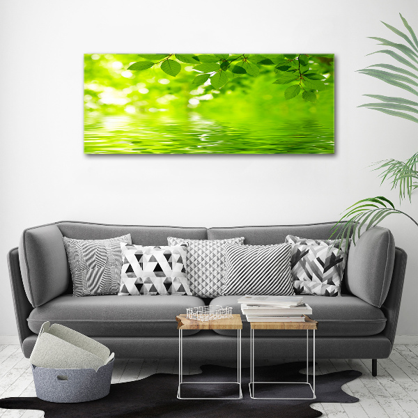 Foto canvas Groene bladeren