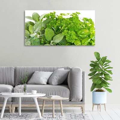 Foto canvas Kruiden